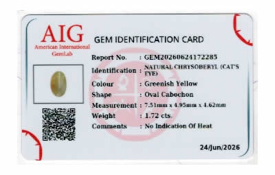 Gem Report