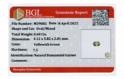 Gem Report
