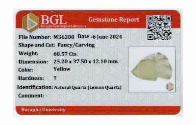 Gem Report