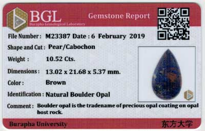 Gem Report