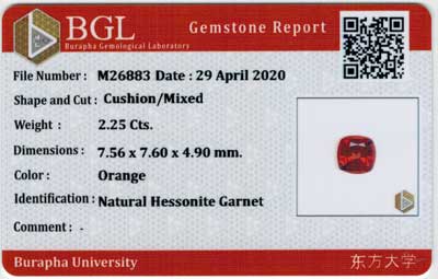 Gem Report