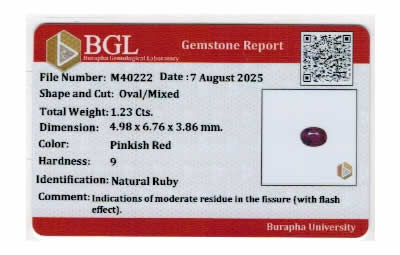 Gem Report