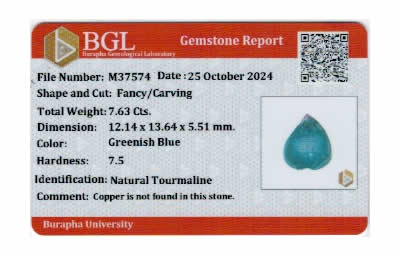 Gem Report
