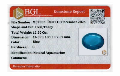 Gem Report