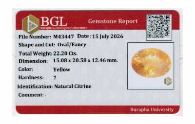 Gem Report