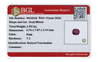 Gem Report
