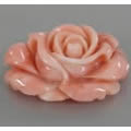 Buy coral gemstones