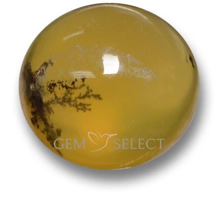 GemSelect のモスオパール宝石 - 大きな画像