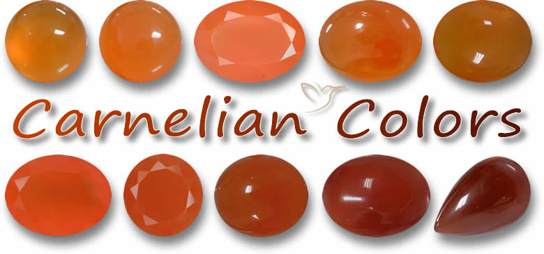 CARNELIAN カーネリアン ジークレー アネモネ サイン・シリアル
