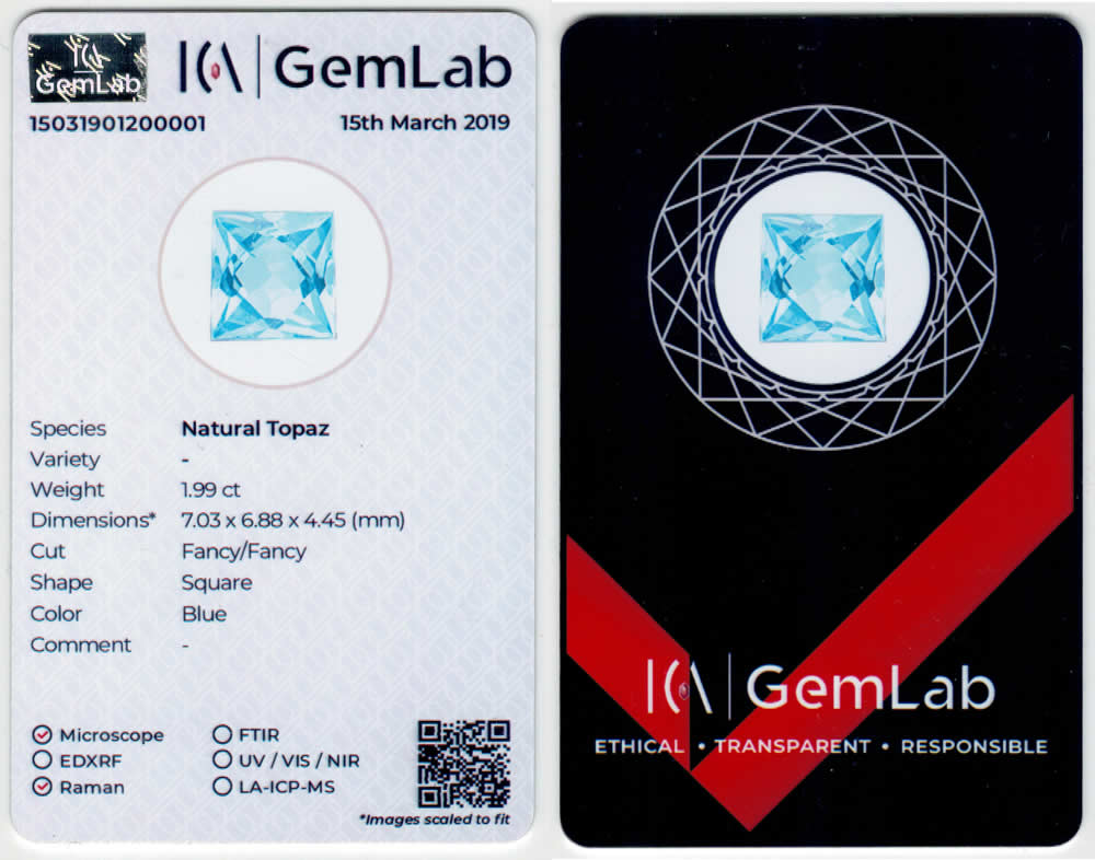 ICAGemLabの簡単な識別レポート