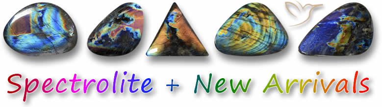 Spectrolite とその他の新製品をここでご覧ください