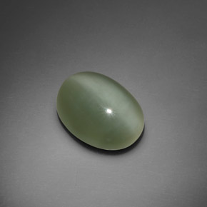 7.66カラットの天然グリーンActinolite Cat's Eye（15.2×11.7 mm・オーバルカット）
