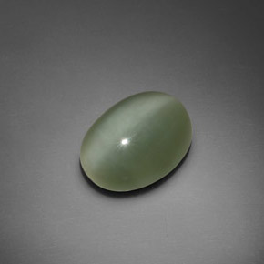 7.66カラットの天然グリーンActinolite Cat's Eye（15.2×11.7 mm・オーバルカット）
