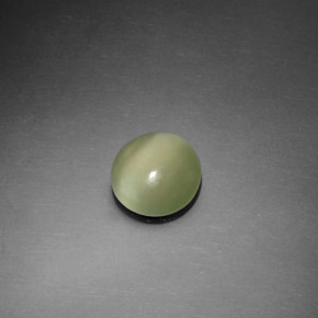 1.10カラットの天然グリーンActinolite Cat's Eye（7.45 mm・ラウンドカット）