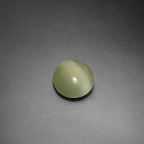 1.10カラットの天然グリーンActinolite Cat's Eye（7.45 mm・ラウンドカット）
