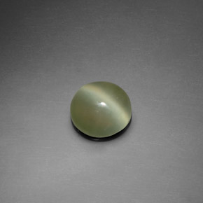1.39カラットの天然グリーンActinolite Cat's Eye（7.54 mm・ラウンドカット）