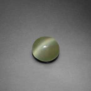 1.39カラットの天然グリーンActinolite Cat's Eye（7.54 mm・ラウンドカット）