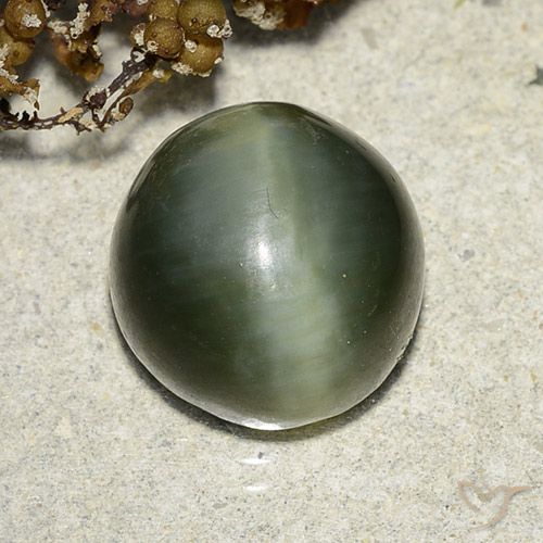 7.39ct 天然 アーシーグリーン アクチノライト キャッツアイ, ラウンド, 半透明