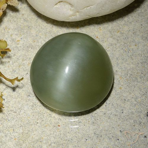5.56ct 天然 ウォームグリーン アクチノライト キャッツアイ, ラウンド, 半透明