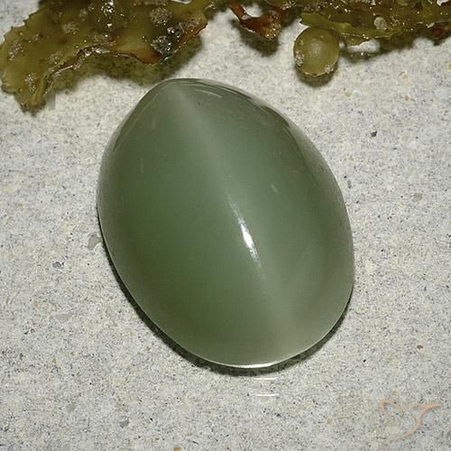 8.04カラットの天然ミディアム薄いグリーンActinolite Cat's Eye（16×12 mm・オーバルカット）