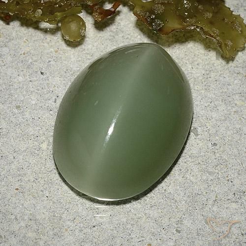 8.04カラットの天然ミディアム薄いグリーンActinolite Cat's Eye（16×12 mm・オーバルカット）