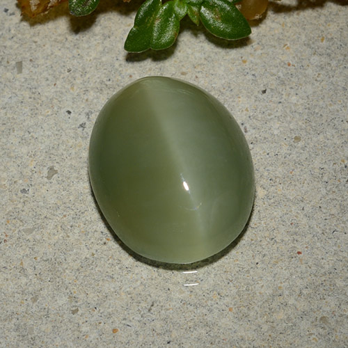 5.33カラットの天然アーミーグリーンActinolite Cat's Eye（13.3×10.7 mm・オーバルカット）