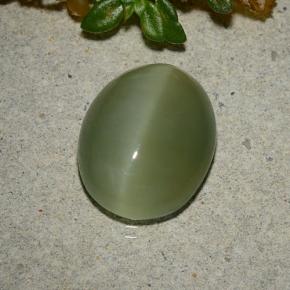5.33カラットの天然アーミーグリーンActinolite Cat's Eye（13.3×10.7 mm・オーバルカット）