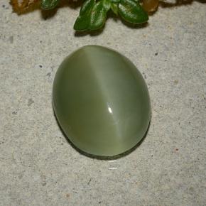 5.33カラットの天然アーミーグリーンActinolite Cat's Eye（13.3×10.7 mm・オーバルカット）