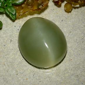 9.08カラットの天然グリーンActinolite Cat's Eye（14.7×12.7 mm・オーバルカット）