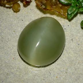 9.08カラットの天然グリーンActinolite Cat's Eye（14.7×12.7 mm・オーバルカット）