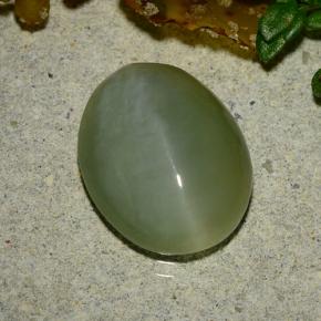 4.86カラットの天然ミディアムグリーンActinolite Cat's Eye（13.2×10.6 mm・オーバルカット）