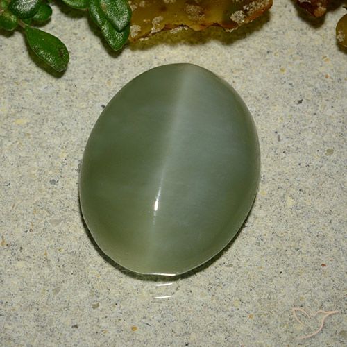 6.48ct 天然 ミディアムグリーン アクチノライト キャッツアイ, 楕円形, 半透明
