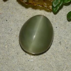3.59カラットの天然グリーンActinolite Cat's Eye（10.8×8.7 mm・オーバルカット）