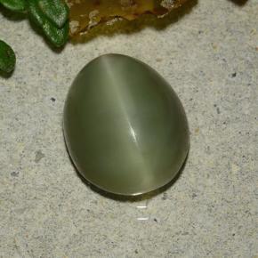 3.59カラットの天然グリーンActinolite Cat's Eye（10.8×8.7 mm・オーバルカット）