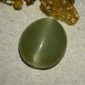 5.70カラットの天然アーミーグリーンActinolite Cat's Eye（13.1×11.5 mm・オーバルカット）