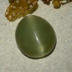 5.70カラットの天然アーミーグリーンActinolite Cat's Eye（13.1×11.5 mm・オーバルカット）