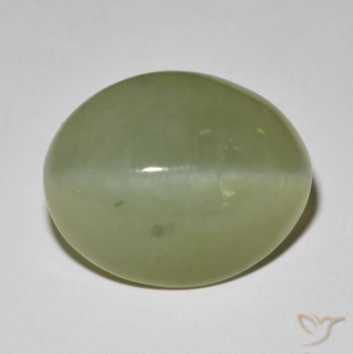 11.42ct 天然 灰色がかった緑 アクチノライト キャッツアイ, 楕円形, 半透明