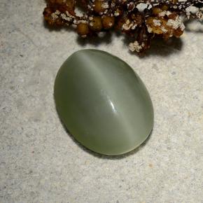 4.81カラットの天然アーミーグリーンActinolite Cat's Eye（13.2×10.2 mm・オーバルカット）