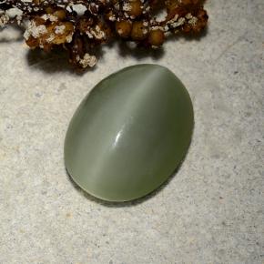 4.81カラットの天然アーミーグリーンActinolite Cat's Eye（13.2×10.2 mm・オーバルカット）