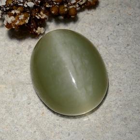 9.06カラットの天然グリーンActinolite Cat's Eye（15.2×12.2 mm・オーバルカット）