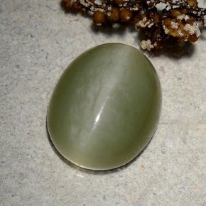 9.06カラットの天然グリーンActinolite Cat's Eye（15.2×12.2 mm・オーバルカット）