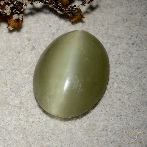 5.10カラットの天然黄色がかった緑Actinolite Cat's Eye（14.4×11.2 mm・オーバルカット）