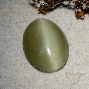 5.10カラットの天然黄色がかった緑Actinolite Cat's Eye（14.4×11.2 mm・オーバルカット）