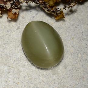 2.78カラットの天然グリーンActinolite Cat's Eye（10.3×8 mm・オーバルカット）