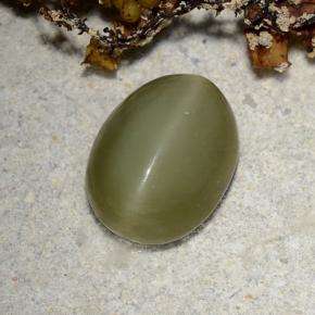 2.78カラットの天然グリーンActinolite Cat's Eye（10.3×8 mm・オーバルカット）