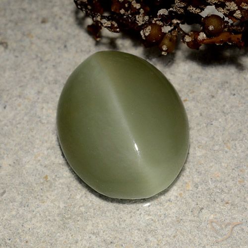 5.41カラットの天然アーシーグリーンActinolite Cat's Eye（13.5×10.7 mm・オーバルカット）