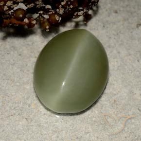 5.41カラットの天然アーシーグリーンActinolite Cat's Eye（13.5×10.7 mm・オーバルカット）
