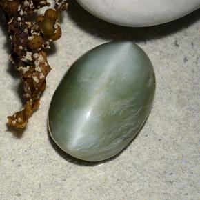 4.96カラットの天然グリーンActinolite Cat's Eye（14.1×10 mm・オーバルカット）