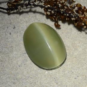 4.89カラットの天然グリーンActinolite Cat's Eye（13.5×9.9 mm・オーバルカット）