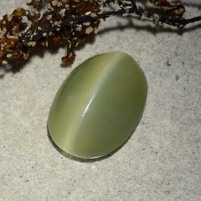 4.89カラットの天然グリーンActinolite Cat's Eye（13.5×9.9 mm・オーバルカット）